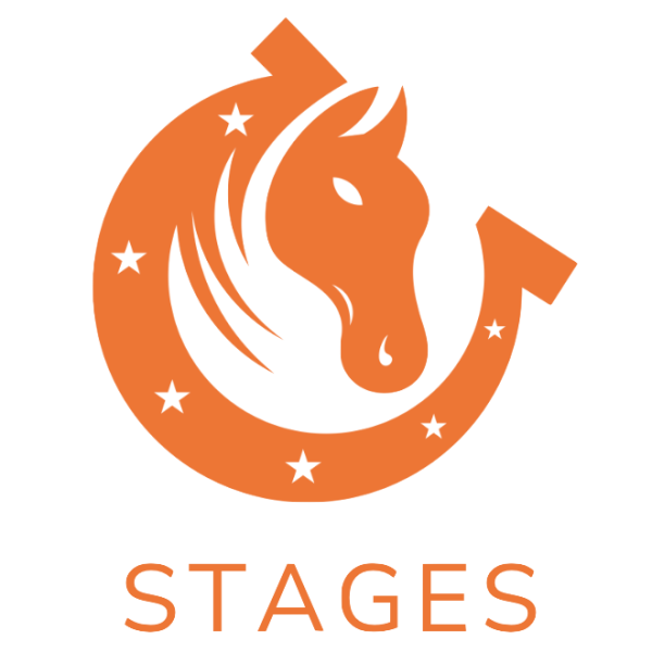 Logo des Stages Club Hippique Vigoulet-Auzil